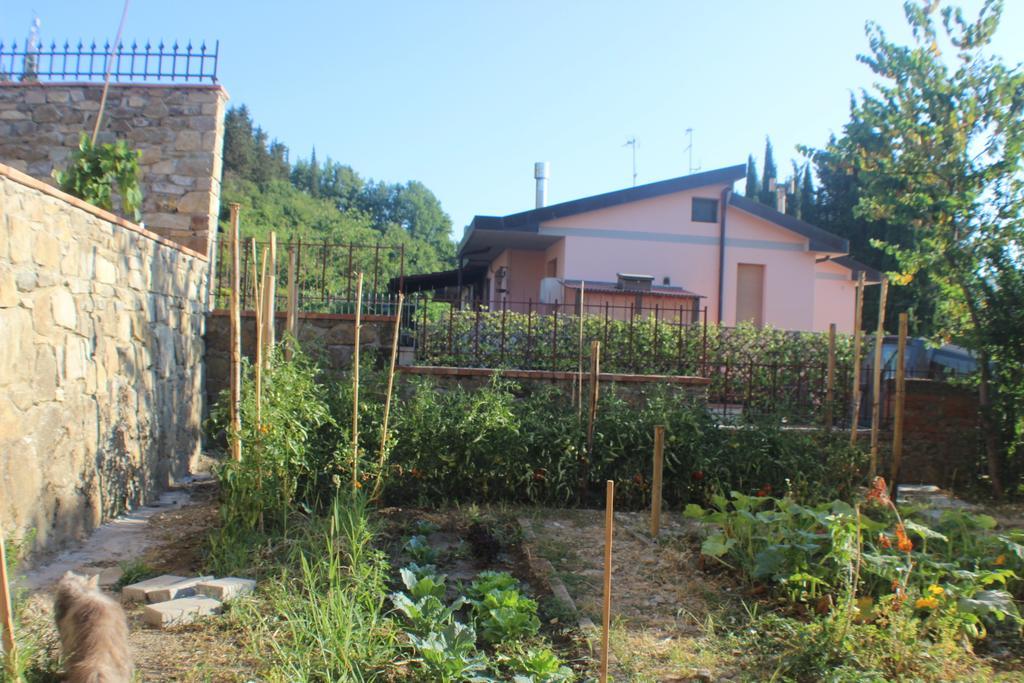 Villa Dei Sogni Греве-ин-Кьянти Номер фото